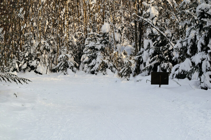 Трасса лыжероллерная Лесная Троицк, состояние на 26 января 2026 по отзыву, фото 1. 